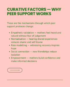 Slide explaining the mechanisms through which peer support produces change: empathetic validation (mothers feel heard without judgement), normalisation (shared experiences reduce shame), role modelling (witnessing recovery inspires hope), social connection (new friendships reduce isolation), and empowerment (mothers build confidence and make informed decisions).